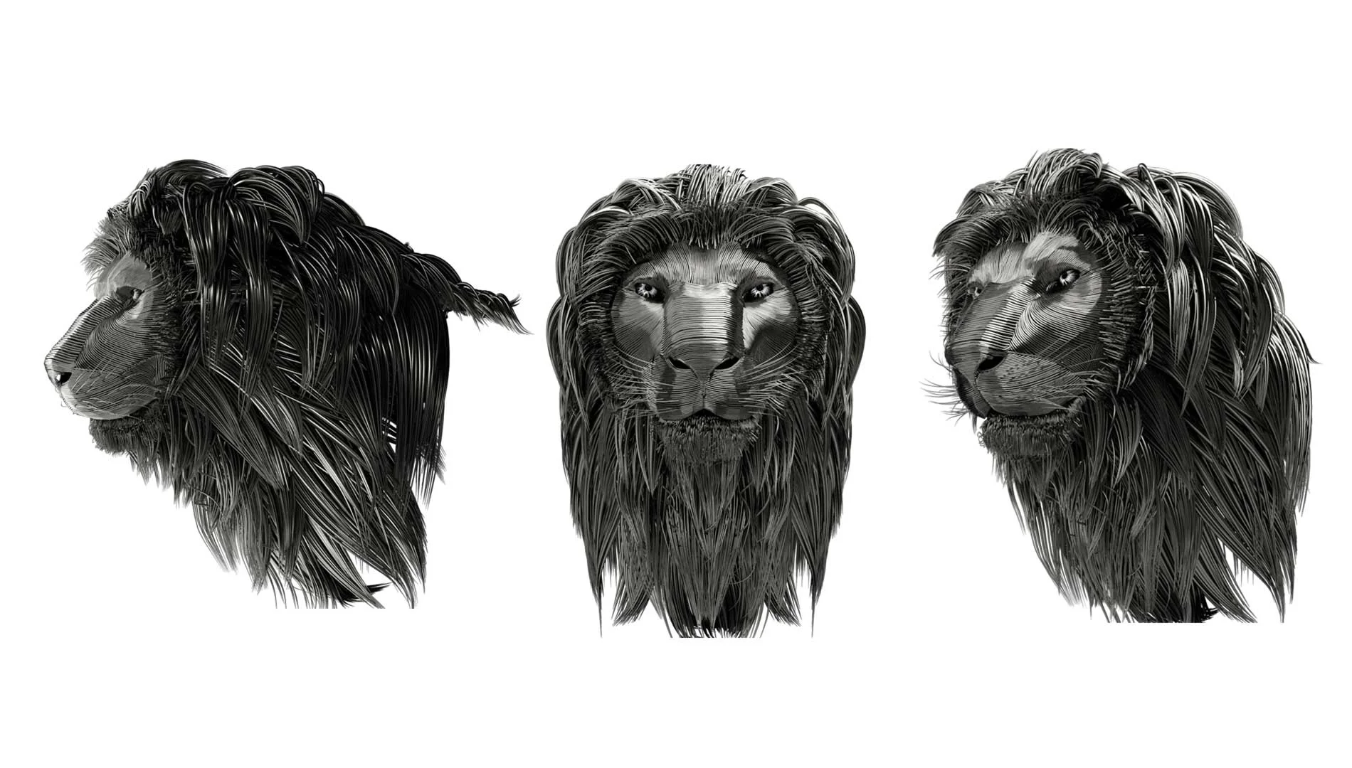 Three black and white images showcasing detailed lion heads
